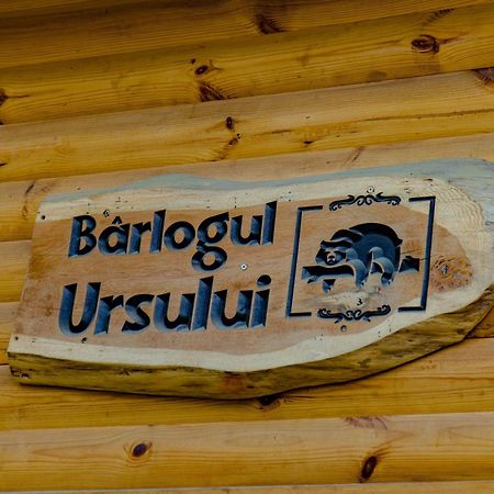 Bear'S Lair Chalet Порумбаку-де-Сус Экстерьер фото