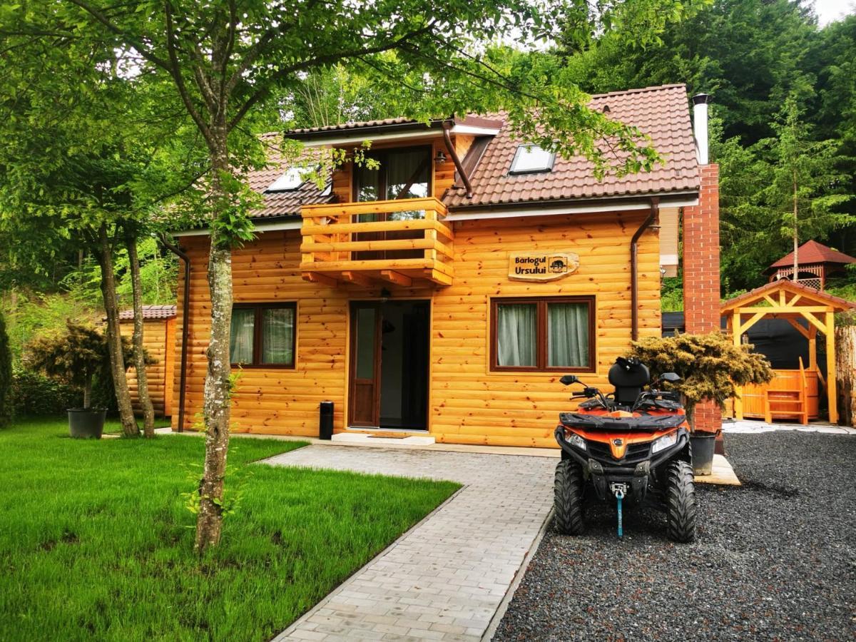 Bear'S Lair Chalet Порумбаку-де-Сус Экстерьер фото